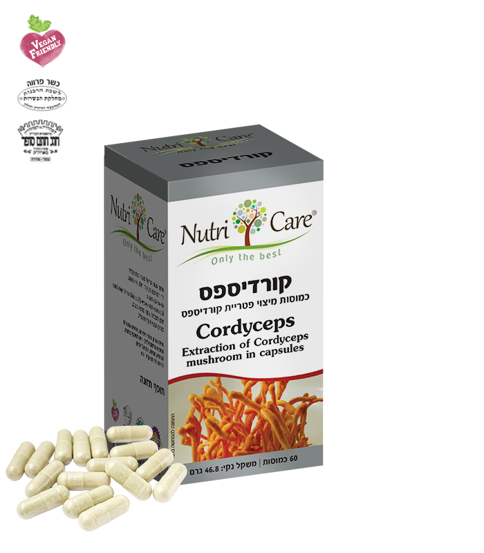 Cordyseps كورديسيبس - الصورة 1