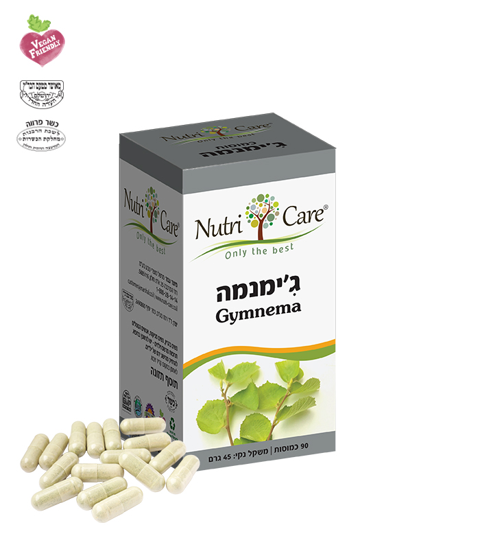 Gymnema ג'ימנמה – תמונה 1