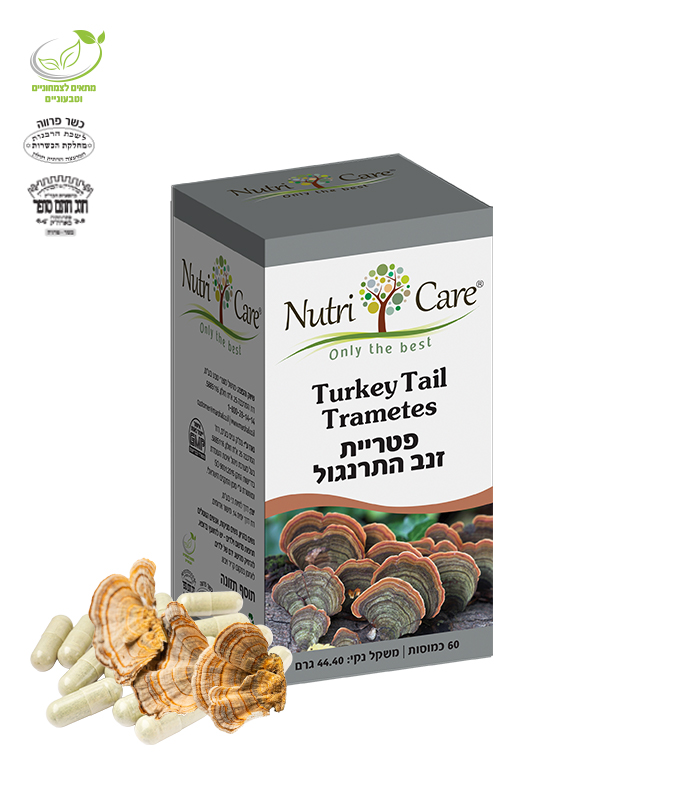 TurkeyTail זנב תרנגול - טרמטס - Image 1